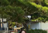 남자 마케팅 vs 여자 마케팅