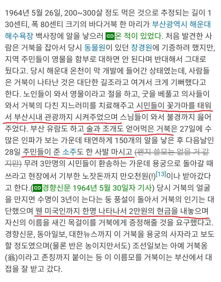 전설로만 전해지는 부산 풀코스의 기원.jpg