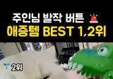 야옹이 발작버튼 장난감