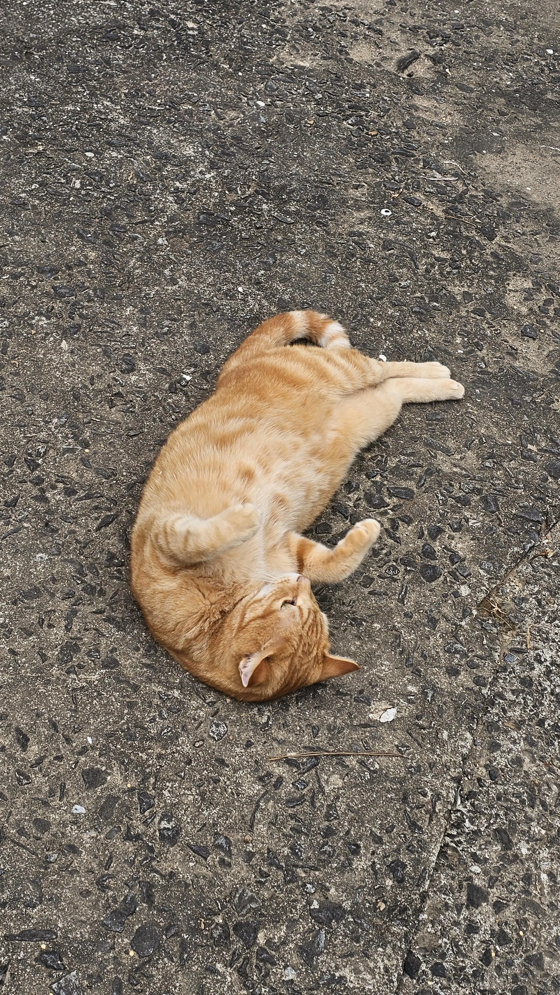 20251005_151302.jpg