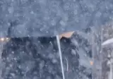 (스포?) 기안장2에 등장한 알바생.gif