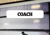 안전요원도 겸하는 체조코치들 ㅋㅋ