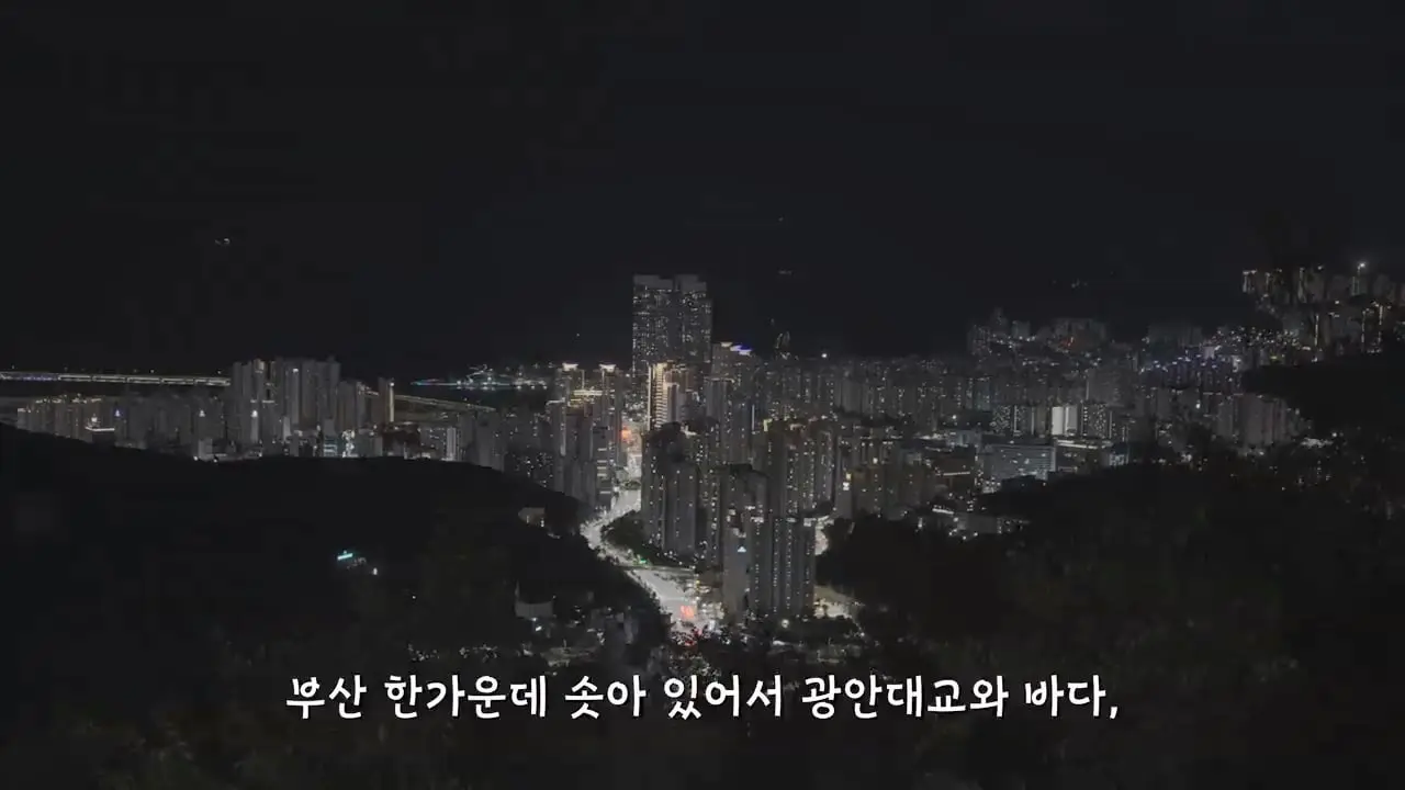 요즘 부산 관광지에서 벌어지고 있는 충격적인 변화.mp4_20260929_100752.675.jpg