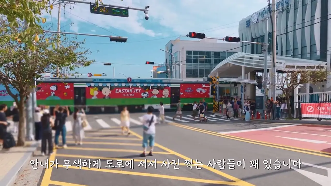 요즘 부산 관광지에서 벌어지고 있는 충격적인 변화.mp4_20260929_095137.413.jpg