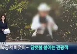 경복궁서 버젓이 "담뱃불 붙이는 외국인 관광객"