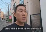 지금 중국인들로 가득한 제주도 근황 ㄷㄷㄷ