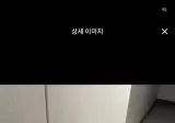 라쿤 탈주한 어느 아파트 단톡방