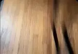 F1 코스 디자인 과정.gif