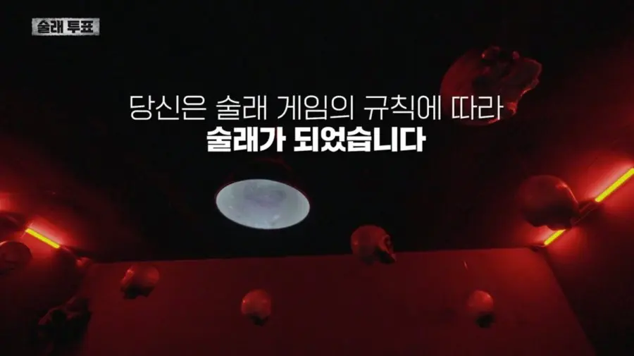 20261001114459_7EMxvFoorV.png