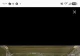 개박살 났다는 샤인머스캣 나눔(4명)