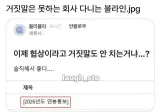 거짓말은 못하는 회사 다니는 블라인.jpg