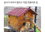 집사가 싸우지말라고 직접 만들어준 집.jpg