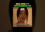 고양이한테 야무지게 하악질 당하는 아이돌