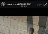닛몰캐시 직업 비하가 웃긴 이유