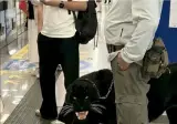 중국에서 신고로 공안 출동시킨 캐리어 외관 ㄷㄷ