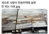 게으른 사람이 전원주택에 살면 안되는 이유.jpg