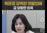 이른바 "국정방해 세력"으로 이 자리에 나왔다