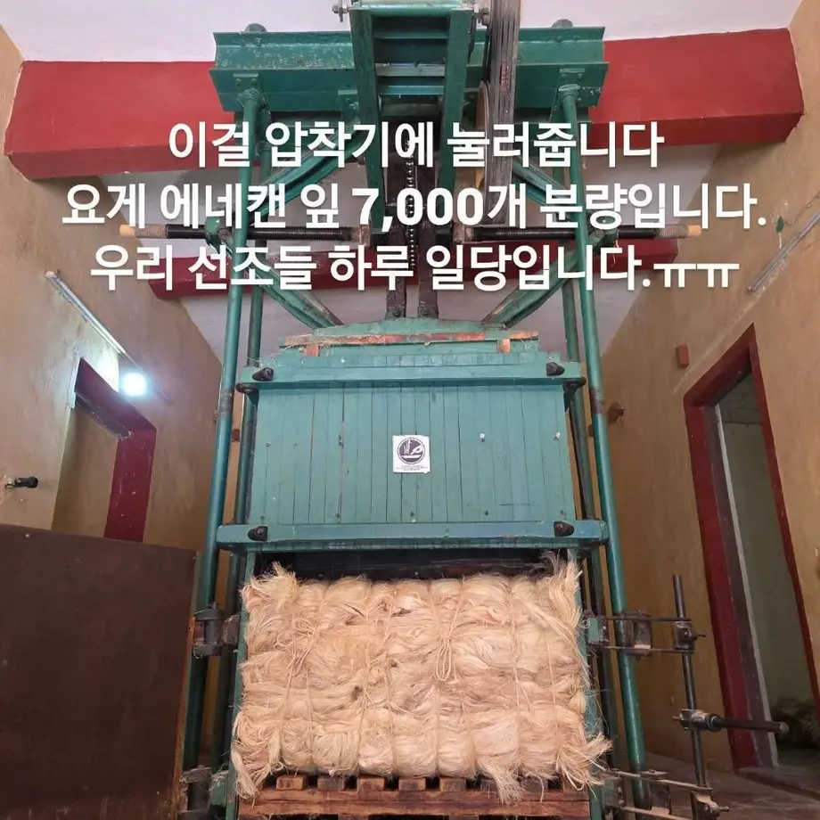 우리 선조들이 멕시코에 가서 한 일