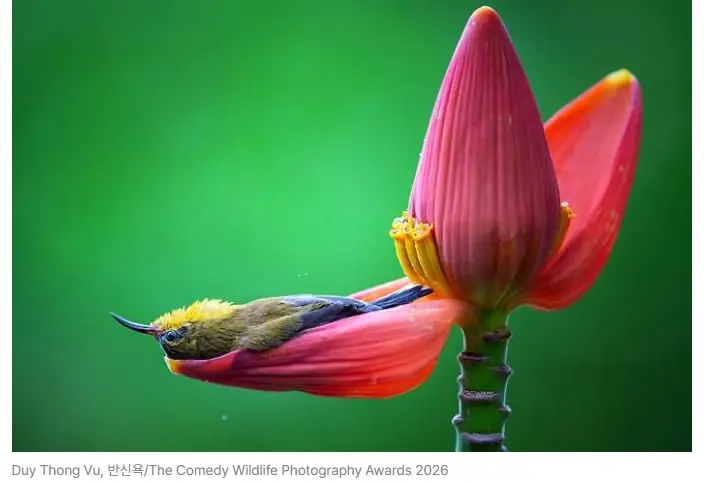 20261002094815_PAhleYZwhb.png