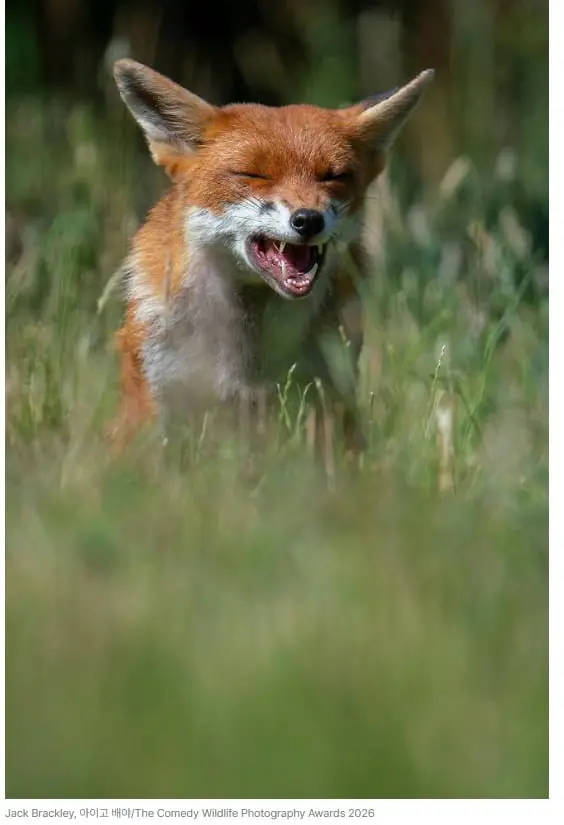 20261002094805_amZ8Q8ikYV.png