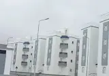 도시에 돈 들여서 가로수 설치하는 이유