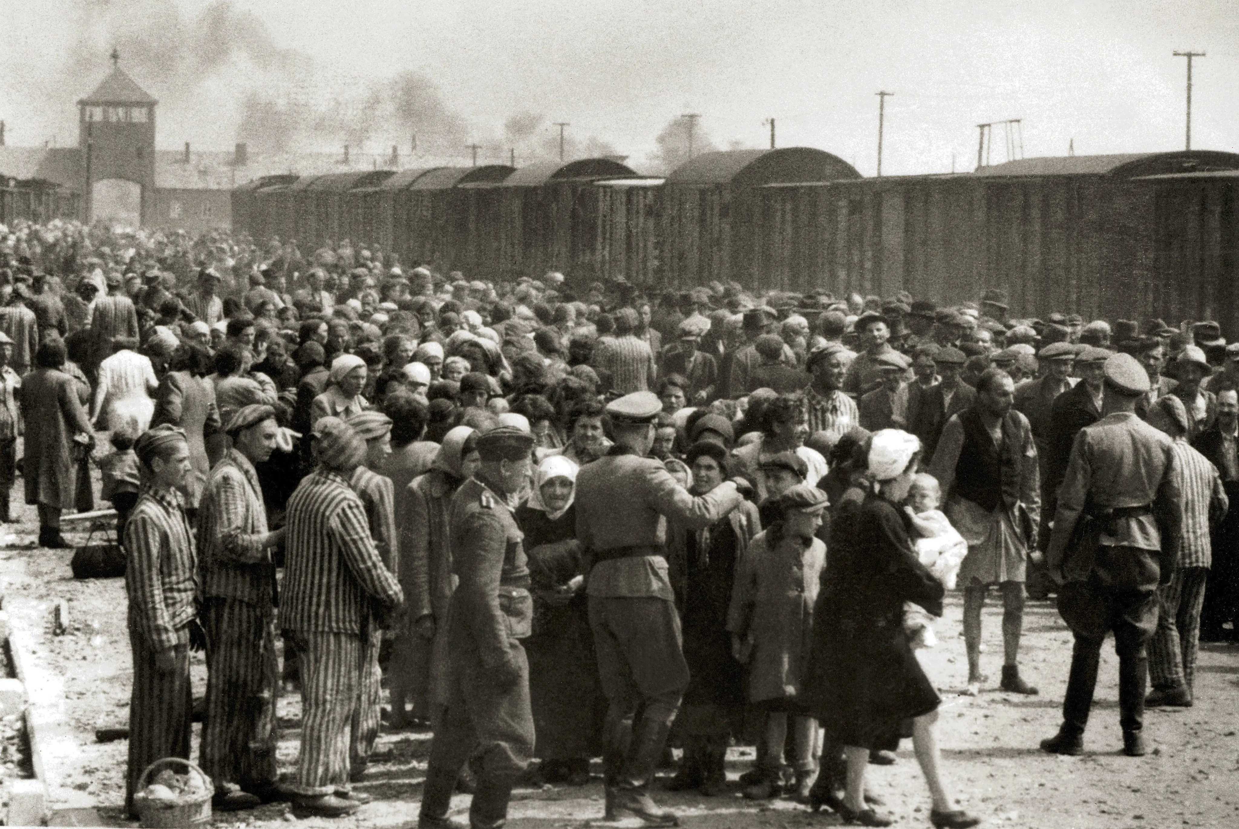 Selection_on_the_ramp_at_Auschwitz-Birkenau,_1944_(Auschwitz_Album)_1a (1).jpg