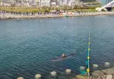 그물 뚫고 돌아온 부캉이