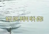 부산 상어 부캉이 눈도 보이는 초근접 샷 영상 떴다.