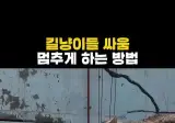 길고양이 싸움 멈추게 하는 방법