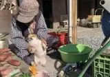 할매랑 물건 팔러 장에 나왔다가 혈당 스파이크 온 댕댕이