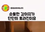 강제로 약 먹여서 성질이 나버림