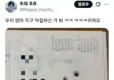 엄마의 고양이 덕질 기록.jpg