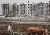 1970~80년대 서울 강남 사진