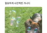 절묘하게 사진찍힌 가나디.jpg