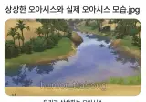 상상한 오아시스와 실제 오아시스 모습.jpg