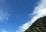 캠핑 삼겹살 먹는 일본인 아재 근황