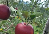 실수로 가격 5천원 싸게 올렸는데