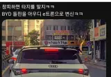 BYD돌핀을 아우디로 변신