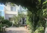 개를 복종 시키는 방법