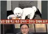 남은 짬뽕 그릇 대참사