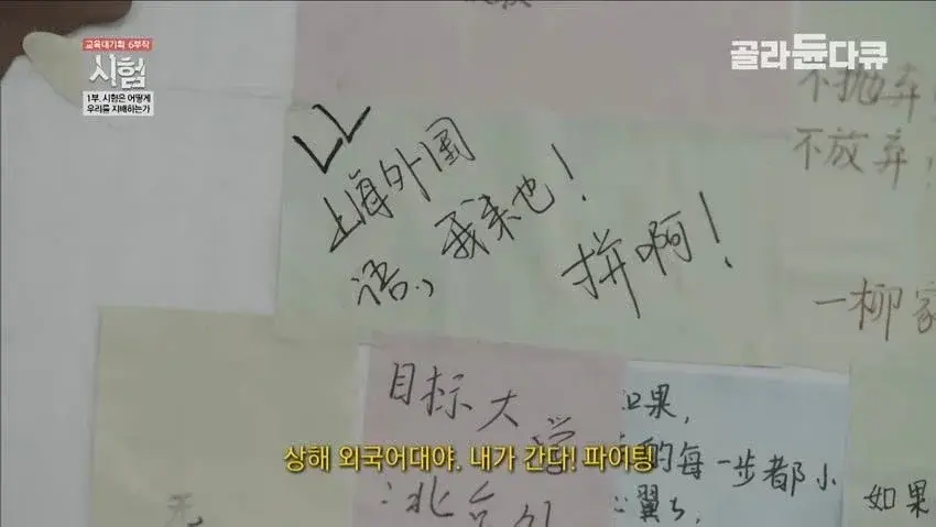 20261006174339_KqgM1NOEnh.webp