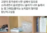 고양이 앞에서 하악질을 해봤다.jpg
