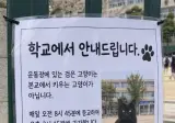 이 고양이는 본교에서 키우는 고양이가 아닙니다