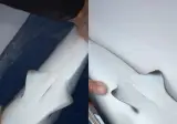 ‘부캉이’ 정체 밝혀졌다