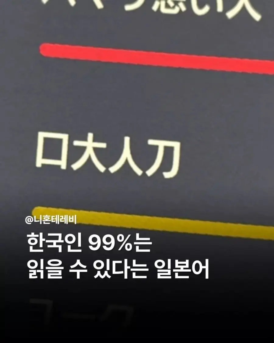 20261006135113_QKu0Ipb7rF.jpg