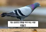 불교 경전에 적혀있는 죄 지었을때 다음생에 태어나게 될 동물