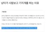 고양이가 사람보고 기지개를 하는 이유.jpg