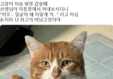 병원 갔을때 선생님이 “어우… 얼굴이 왜 이렇게 커…” 라고 하심