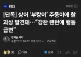 상어 ‘부캉이’ 주둥이에 찰과상 발견돼…“강한 랜턴에 행동 급변”