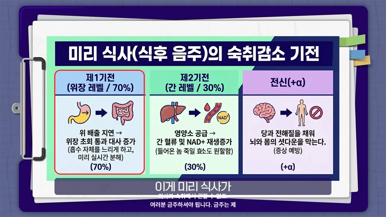 MRdQcM4DUdg 00-07-48 nadol 의학적으로 검증된 숙취 없이 술마시는 팁ㅣ숙취 해소 총정리ㅣ닥터딩요 - 의사가 숙취해서 권할 수 없죠. 여러분 금주하셔야 됩니다. 금주는 제.png